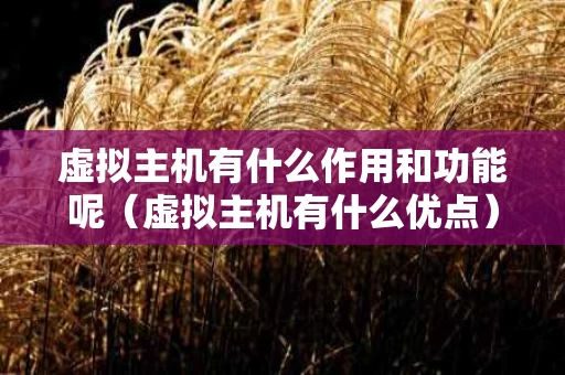 虚拟主机有什么作用和功能呢（虚拟主机有什么优点）