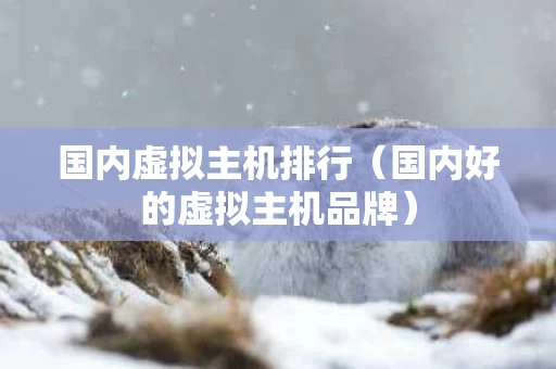 国内虚拟主机排行（国内好的虚拟主机品牌）
