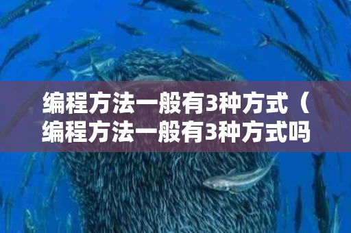 编程方法一般有3种方式（编程方法一般有3种方式吗）