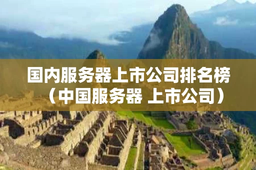 国内服务器上市公司排名榜（中国服务器 上市公司）