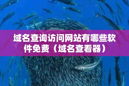 域名查询访问网站有哪些软件免费（域名查看器）
