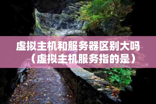 虚拟主机和服务器区别大吗（虚拟主机服务指的是）