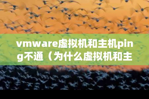 vmware虚拟机和主机ping不通（为什么虚拟机和主机ping不通）
