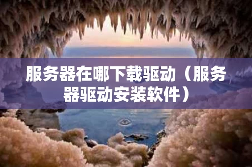 服务器在哪下载驱动（服务器驱动安装软件）
