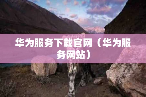 华为服务下载官网（华为服务网站）