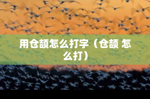 用仓颉怎么打字（仓颉 怎么打）