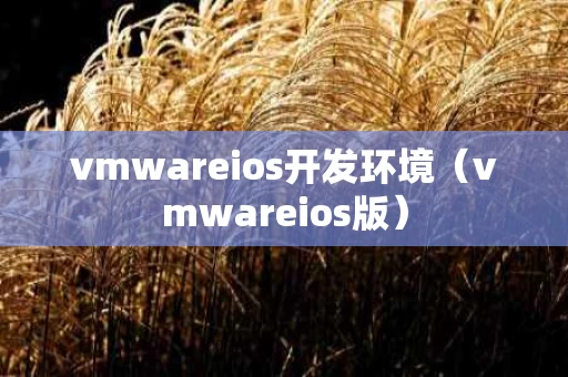 vmwareios开发环境（vmwareios版）