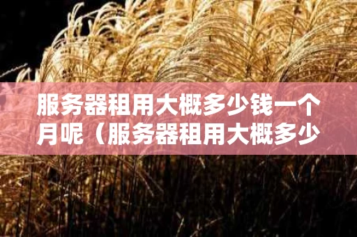 服务器租用大概多少钱一个月呢（服务器租用大概多少钱一个月呢）