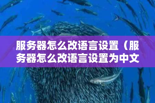 服务器怎么改语言设置（服务器怎么改语言设置为中文）