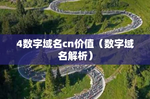 4数字域名cn价值（数字域名解析）
