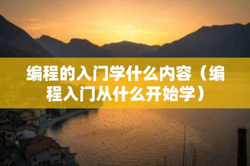 编程的入门学什么内容（编程入门从什么开始学）