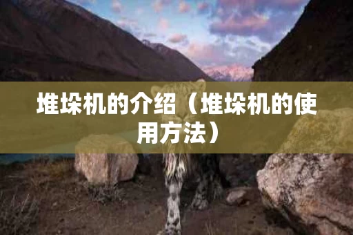 堆垛机的介绍（堆垛机的使用方法）