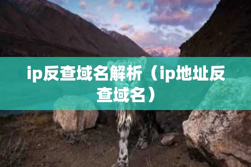 ip反查域名解析（ip地址反查域名）