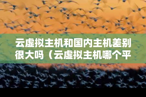 云虚拟主机和国内主机差别很大吗（云虚拟主机哪个平台好）