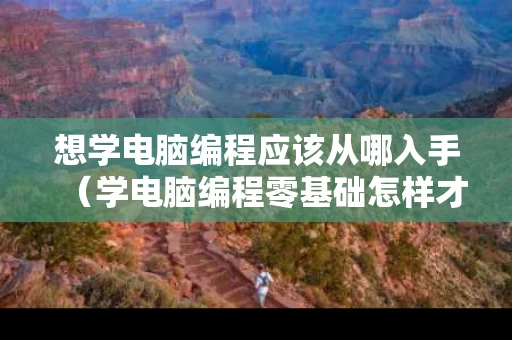想学电脑编程应该从哪入手（学电脑编程零基础怎样才可以快速学）