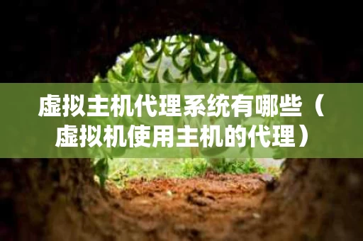 虚拟主机代理系统有哪些（虚拟机使用主机的代理）