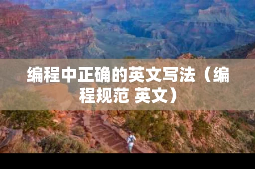 编程中正确的英文写法（编程规范 英文）