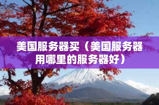 美国服务器买（美国服务器用哪里的服务器好）