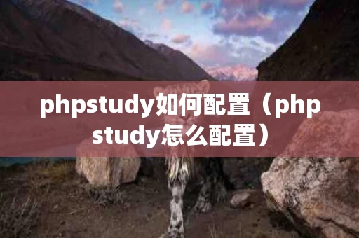 phpstudy如何配置（phpstudy怎么配置）