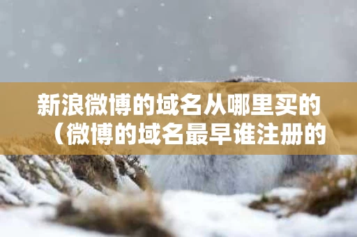新浪微博的域名从哪里买的（微博的域名最早谁注册的）