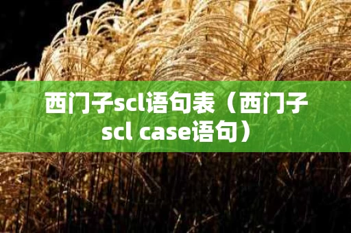 西门子scl语句表（西门子scl case语句）