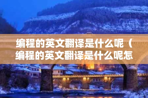 编程的英文翻译是什么呢（编程的英文翻译是什么呢怎么写）