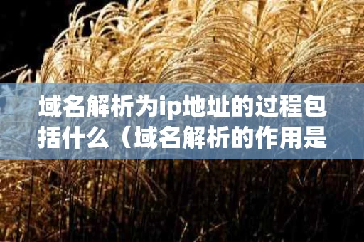 域名解析为ip地址的过程包括什么（域名解析的作用是把ip地址转换成对应的域名）