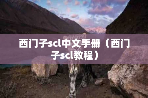 西门子scl中文手册（西门子scl教程）