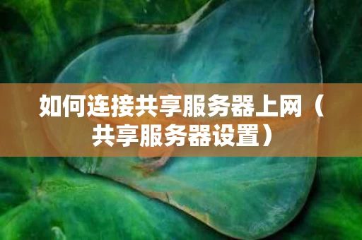 如何连接共享服务器上网（共享服务器设置）