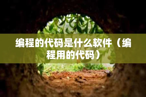 编程的代码是什么软件（编程用的代码）