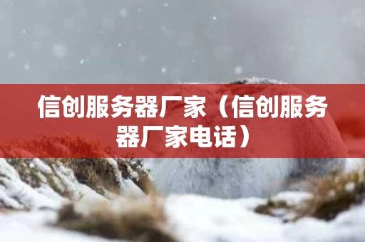 信创服务器厂家（信创服务器厂家电话）
