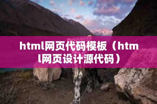 html网页代码模板（html网页设计源代码）