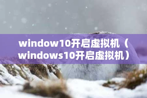 window10开启虚拟机（windows10开启虚拟机）