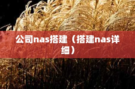 公司nas搭建（搭建nas详细）