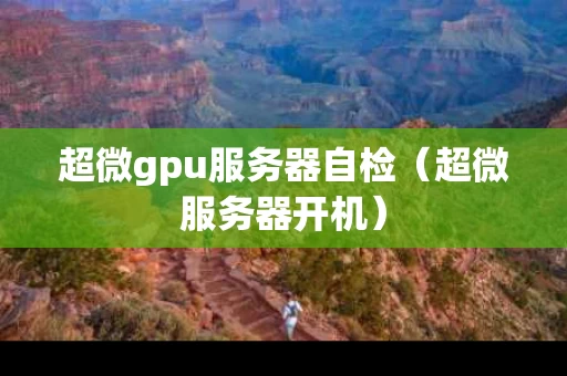 超微gpu服务器自检（超微服务器开机）
