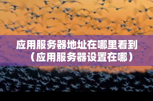 应用服务器地址在哪里看到（应用服务器设置在哪）