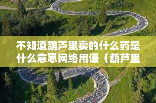 不知道葫芦里卖的什么药是什么意思网络用语（葫芦里卖的什么药出处）