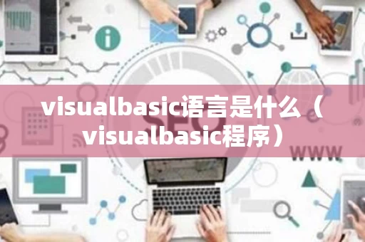 visualbasic语言是什么（visualbasic程序）