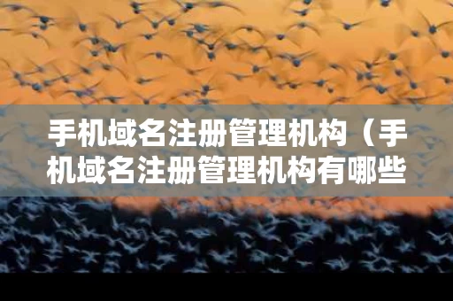 手机域名注册管理机构（手机域名注册管理机构有哪些）