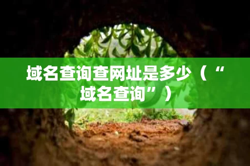 域名查询查网址是多少（“域名查询”）