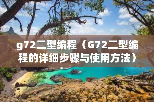 g72二型编程（G72二型编程的详细步骤与使用方法）