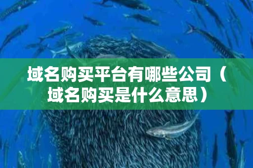 域名购买平台有哪些公司（域名购买是什么意思）