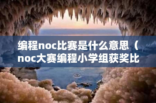 编程noc比赛是什么意思（noc大赛编程小学组获奖比例）