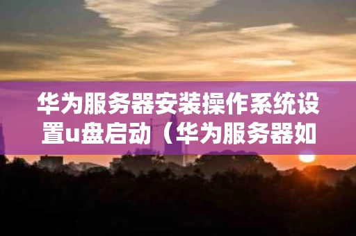 华为服务器安装操作系统设置u盘启动（华为服务器如何设置u盘启动）