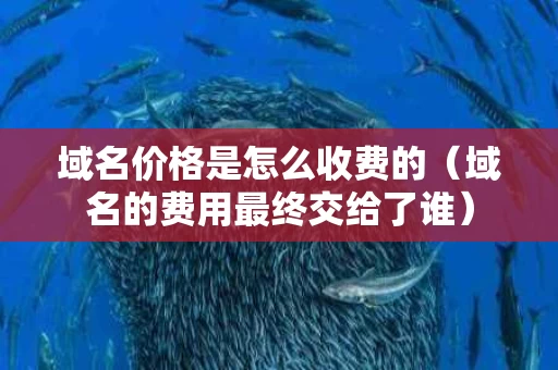 域名价格是怎么收费的（域名的费用最终交给了谁）