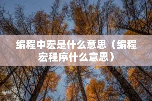 编程中宏是什么意思（编程宏程序什么意思）