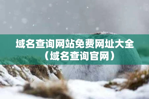 域名查询网站免费网址大全（域名查询官网）