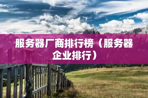 服务器厂商排行榜（服务器企业排行）
