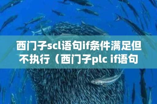 西门子scl语句if条件满足但不执行（西门子plc if语句怎么用）