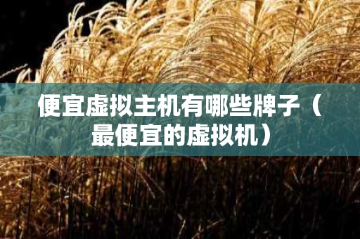 便宜虚拟主机有哪些牌子（最便宜的虚拟机）